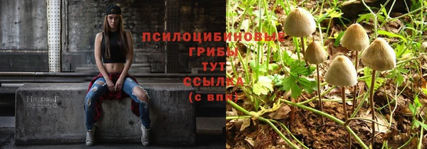 а пвп мука Баксан
